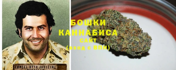 мяу мяу мука Белокуриха